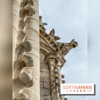 Visite des tours de Notre-Dame de Paris