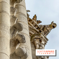 Visite des tours de Notre-Dame de Paris