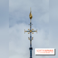 Visite des tours de Notre-Dame de Paris