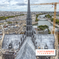 Visite des tours de Notre-Dame de Paris