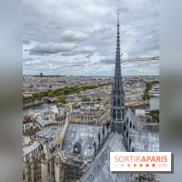 Visite des tours de Notre-Dame de Paris