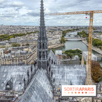 Visite des tours de Notre-Dame de Paris
