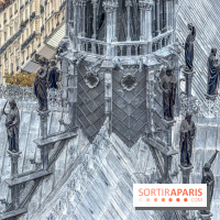 Visite des tours de Notre-Dame de Paris
