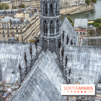 Visite des tours de Notre-Dame de Paris