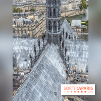 Visite des tours de Notre-Dame de Paris
