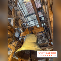 Visite des tours de Notre-Dame de Paris