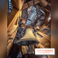 Visite des tours de Notre-Dame de Paris