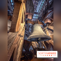 Visite des tours de Notre-Dame de Paris
