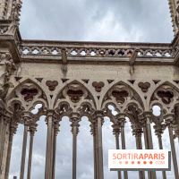 Visite des tours de Notre-Dame de Paris