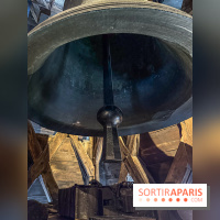 Visite des tours de Notre-Dame de Paris - IMG 7499