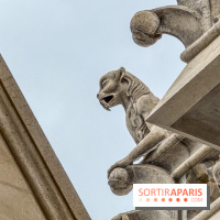 Visite des tours de Notre-Dame de Paris