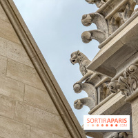 Visite des tours de Notre-Dame de Paris