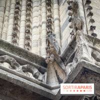 Visite des tours de Notre-Dame de Paris