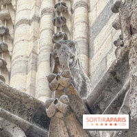 Visite des tours de Notre-Dame de Paris