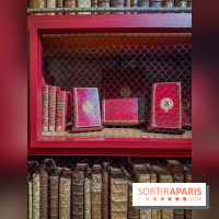 Exposition “Excellences !” à la Bibliothèque Choiseul de Versailles - IMG 7566