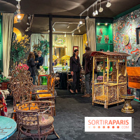 La Fête des Puces de Saint-Ouen : la nocturne du plus grand marché d'antiquités au monde - IMG 0018 jpg