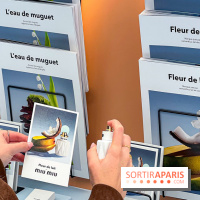 Miu Miu Beauty : pop up beauté gratuit au Forum des Halles avec showcase exclusif de Louane