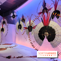 Amazônia au musée du quai Branly : l'exposition au cœur des cultures autochtones se dévoile - fotor 1759145323326