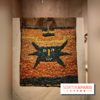 Amazônia au musée du quai Branly : l'exposition au cœur des cultures autochtones se dévoile - fotor 1759145803769