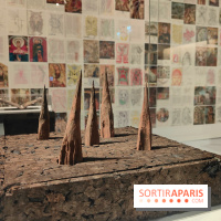 Amazônia au musée du quai Branly : l'exposition au cœur des cultures autochtones se dévoile - fotor 1759145877178