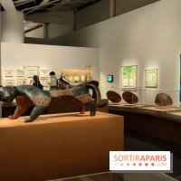 Amazônia au musée du quai Branly : l'exposition au cœur des cultures autochtones se dévoile - fotor 1759146004888