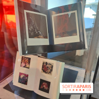 Polaraki, mille polaroids d'Araki Nobuyoshi : l'exposition du musée Guimet se dévoile