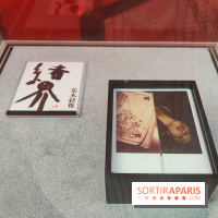 Polaraki, mille polaroids d'Araki Nobuyoshi : l'exposition du musée Guimet se dévoile