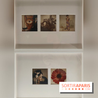 Polaraki, mille polaroids d'Araki Nobuyoshi : l'exposition du musée Guimet se dévoile - fotor 1759249674126