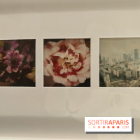 Polaraki, mille polaroids d'Araki Nobuyoshi : l'exposition du musée Guimet se dévoile - fotor 1759249760856