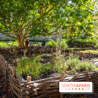 Le brunch à volonté de l'Abbaye de Royaumont - A7C08415