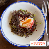 Comptoir Lazu - Salade de lentilles, oeuf parfait