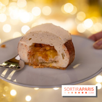 la Bûche de Noêl du Mandarin Oriental Lutetia aux Lumières de Paris - A7C08076