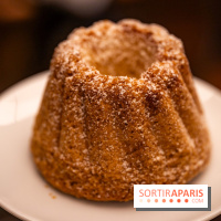 la Bûche de Noêl du Mandarin Oriental Lutetia aux Lumières de Paris - A7C08077