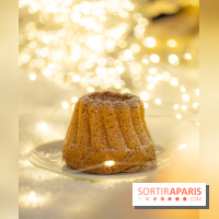 la Bûche de Noêl du Mandarin Oriental Lutetia aux Lumières de Paris