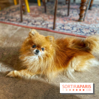 Etagère Café - IMG 5846