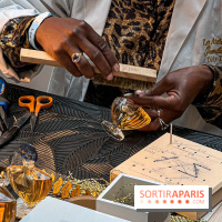 DeuxMains du Luxe 2025 au Grand Palais - IMG 4656 jpg