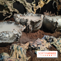 Voir la mer : une exposition gratuite qui montre un monde chaviré au Maif Social Club