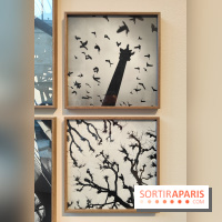 Gaston Paris - L'équilibre du carré : l'exposition photo gratuite de la galerie Roger-Viollet - fotor 1760012037148