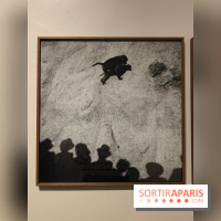 Gaston Paris - L'équilibre du carré : l'exposition photo gratuite de la galerie Roger-Viollet