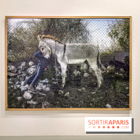 Exposition Luc Delahaye au Jeu de Paume : la grande rétrospective à ne pas manquer - IMG 9118