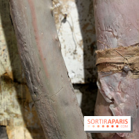 Berlinde De Bruyckere : nos photos de son exposition 'Need' à la Galleria Continua 