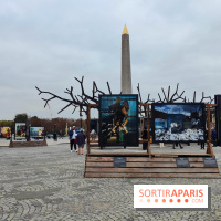 Photoclimat : derniers jours pour la biennale artistique place de la Concorde à Paris
