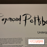 Underground : l'exposition ironique de Raymond Pettibon au Musée Picasso - nos photos - fotor 1760090607093