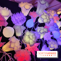 Jardiner : une exposition au cœur de la nature à vivre à la Cité des Sciences et de l'Industrie - fotor 1760436644750