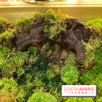 Jardiner : une exposition au cœur de la nature à vivre à la Cité des Sciences et de l'Industrie - fotor 1760436725984