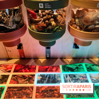 Jardiner : une exposition au cœur de la nature à vivre à la Cité des Sciences et de l'Industrie - fotor 1760436787512