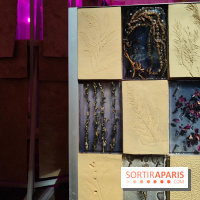 Jardiner : une exposition au cœur de la nature à vivre à la Cité des Sciences et de l'Industrie - fotor 1760436815036