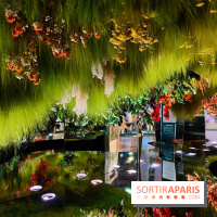 Jardiner : une exposition au cœur de la nature à vivre à la Cité des Sciences et de l'Industrie - fotor 1760436885761