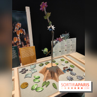 Jardiner : une exposition au cœur de la nature à vivre à la Cité des Sciences et de l'Industrie