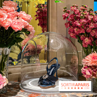 Manolo Blahnik Crillon - 74D0D2C3 CA3B 432E B881 95632F1009EC